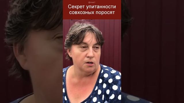 Почему поросята быстро растут смотреть онлайн