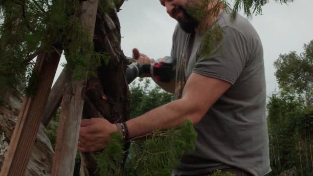 Florida Bonsai Documentary | Official Teaser Trailer