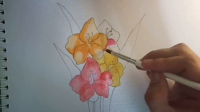 How to draw gladiolus coloring смотреть онлайн