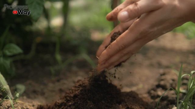 Только Этим Обрабатывайте Сад После Листопада в Ноябре! смотреть онлайн
