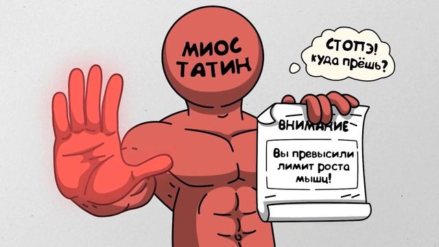 МИОСТАТИН почему Мышцы НЕ растут смотреть онлайн
