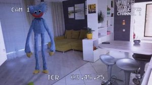 Морская свинка КУЗЯ стал ТАЙНЫМ АГЕНТОМ | Хагги Вагги на скрытых камерах?!