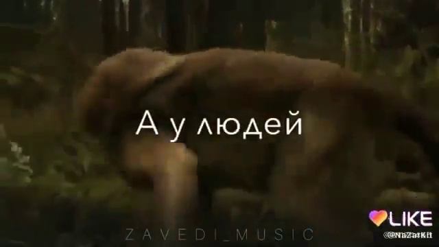 Преданная любовь💔 смотреть онлайн