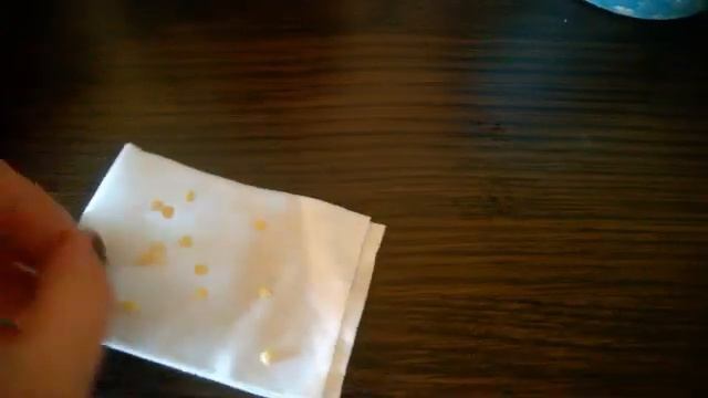 Выращиваем болгарский перец в квартире на подоконнике. смотреть онлайн