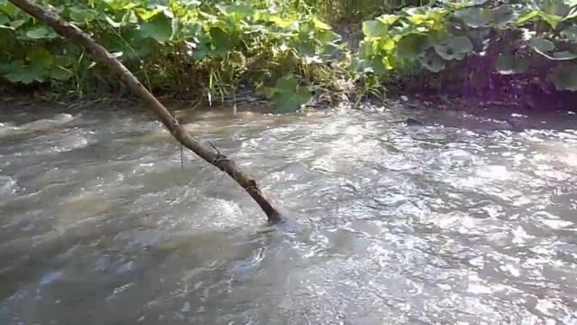 Река Дарья. Ставропольский край смотреть онлайн