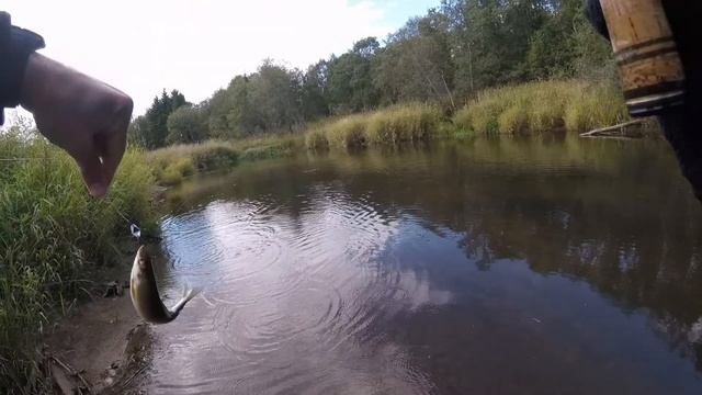 ЗАМЕТКИ ПРО ХАРИУСА смотреть онлайн