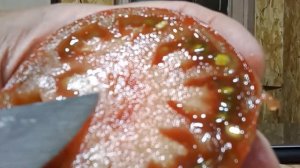 Томат Бизон черный