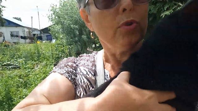 15 июля 2022 г. Поехали в ветклинику с Машей смотреть онлайн