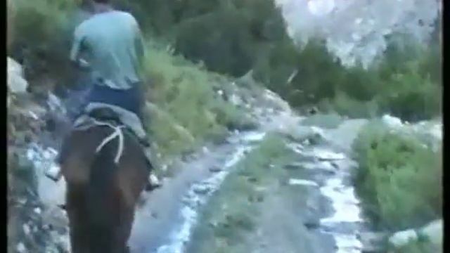 #5747 Тянь-Шань:р.Ойгаинг 1995 (часть 1/2)