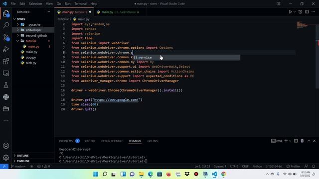 Selenium Automation: A Practical Guide with Python смотреть онлайн
