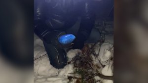 ПОЙМАЛИ ЗАКЛАДЧИКОВ