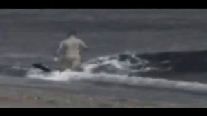 Жесть Касатка съела человека