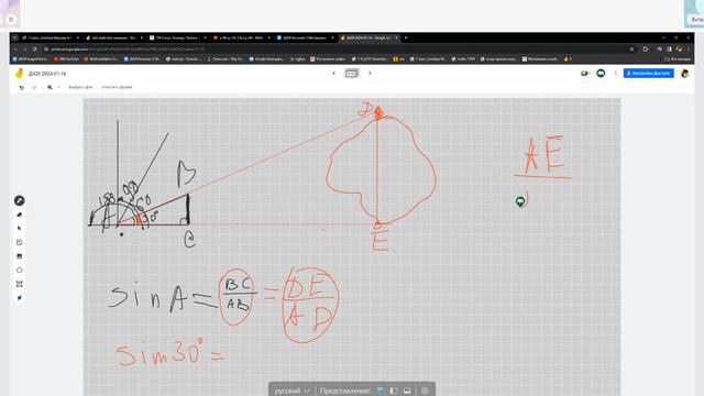 Зачем нужен синус Д429 Rec  24 01 25