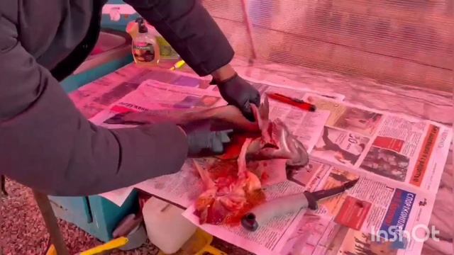 4 ноября 2023 г.