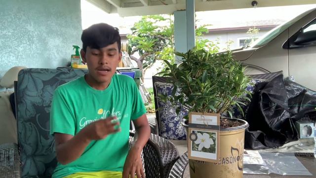 Sweetheart Gardenia!!🤍 PLANT MAIL!🪴 S:1, Ep.9//Ultimate Gardening