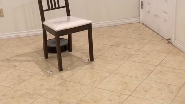 iRobot Vacuum Cleaner Review - spot cleaning & dirt detection (iRobot Roomba i7+/i8+ review)