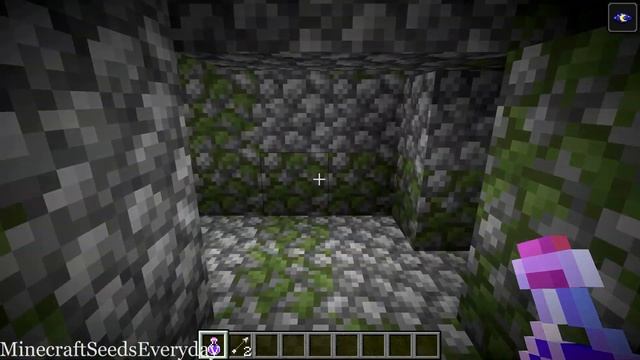 Minecraft 1.14.4 Seed 228: Jungle biome with temples and diamonds смотреть онлайн