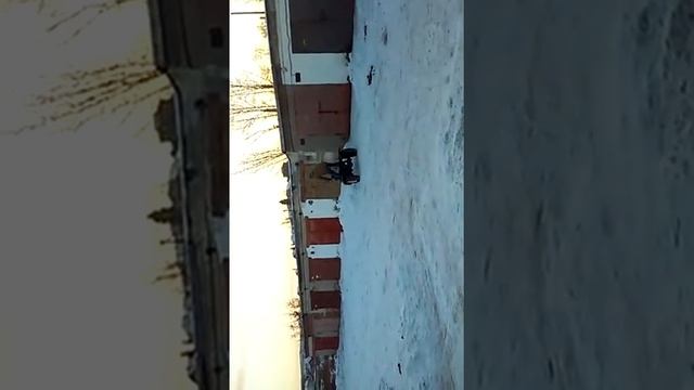трицикл зима дыбы смотреть онлайн