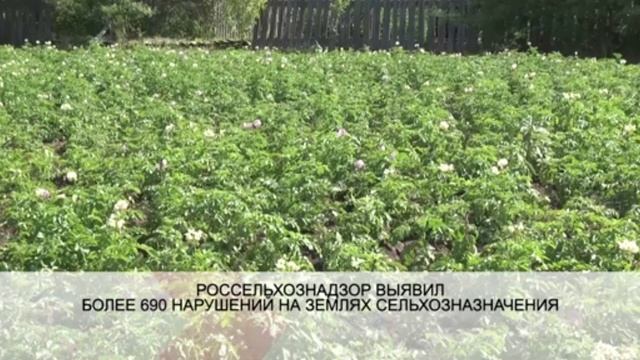 Россельхознадзор выявил более 690 нарушений на землях сельхозназначения смотреть онлайн