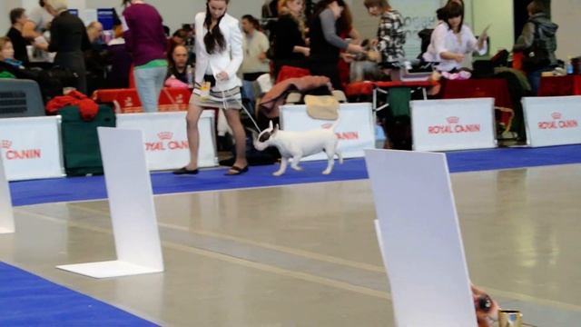 001. ГЮНП Любушка Голубушка