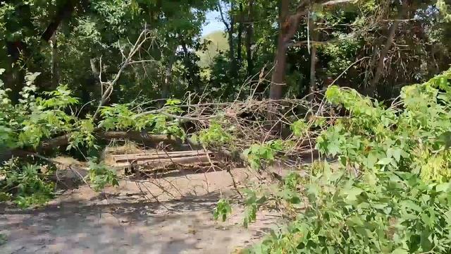 Субботник в дачном обществе Уйтас смотреть онлайн