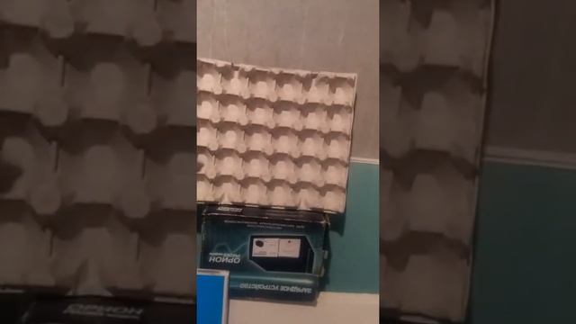 нельзя штробить под щит в стене смотреть онлайн