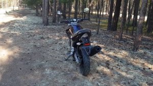 Обзор мотоцикла Ямаха Файзер (Yamaha Fazer) или YS250