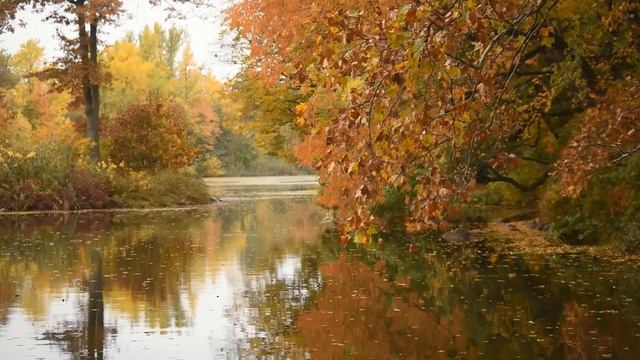 Beautiful Relaxation Music: Autumn Instrumental Music, Relaxing ''Fall Season'' Music, ''Autumn'' смотреть онлайн
