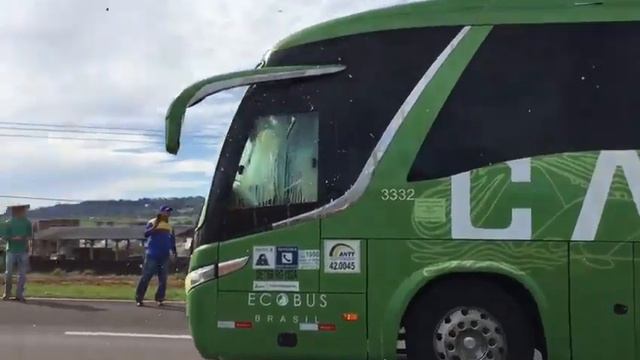 Бразильские болельщики обкидали яйцами автобус со сборной Бразилии. Такой встречи никто не ждал!! смотреть онлайн