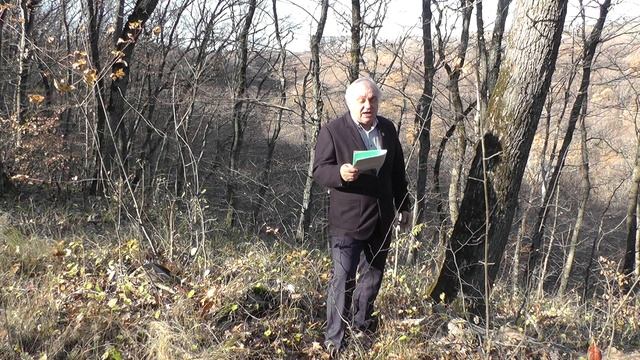 Листопад (стихотворение В. Гаазова) смотреть онлайн