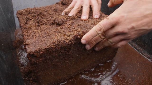 How To Make Your Own Potting Medium Using Coco Pith смотреть онлайн