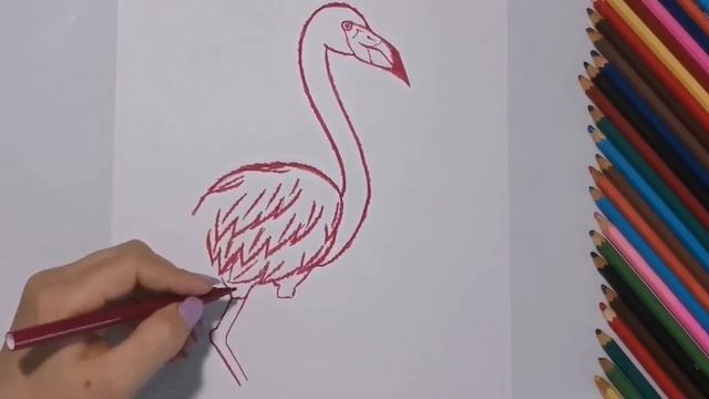 Рисуем фламинго. Мастер класс по рисованию. Простой рисунок для детей