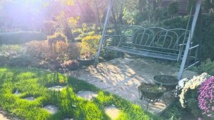 ДЕВЯТЬ СОРТОВ ПИХТ В ЛАНДШАФТНОМ ДИЗАЙНЕ НАШЕГО САДА! ОСЕННИЙ ОБЗОР КОЛЛЕКЦИИ! #abies #пихта