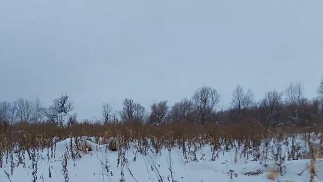 Миниснегоход Рыбак 2МТ. Выезд 03.01.2022 смотреть онлайн