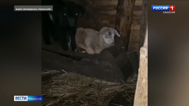 Агафья Лыкова рассказала, как перезимовала в новом доме