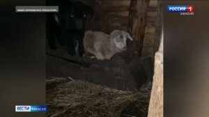 Агафья Лыкова рассказала, как перезимовала в новом доме