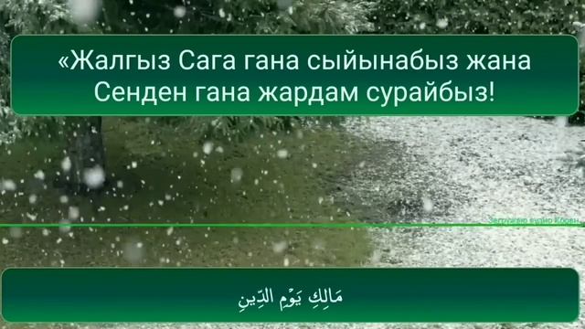 41 ЖОЛУ ФАТИХА СҮРӨСҮН УГУНУЗ. Баардык ооруга шыпаа болот. смотреть онлайн