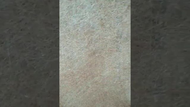 6 июля 2022 г. смотреть онлайн