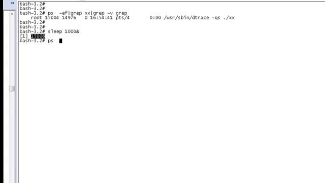 Using Dtrace to get system call Oracle Solaris смотреть онлайн