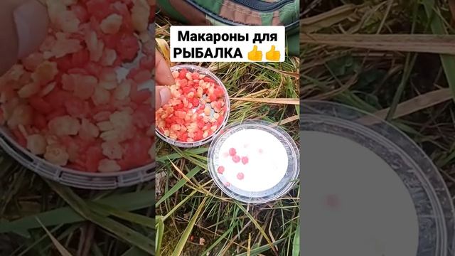 Рыбалка!! макароны для любой рыба ? смотреть онлайн