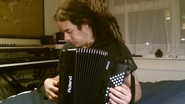 Roland FR-1xb V-Accordion mess around 8 - Rocky! смотреть онлайн
