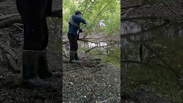 Ловля окуня и щуки на р. Уды ультралайтом смотреть онлайн