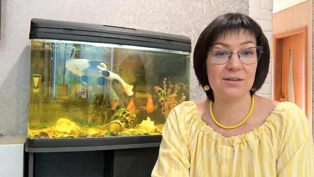 Светлана Курьято. Что будет в Клубе Паркинсона «Следуй за мной!» • 29.11.2022 смотреть онлайн