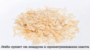 Как заготовить сушеный лук разными способами и куда его применять