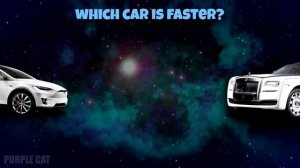 WICH CAR IS FASTER?? - Car Quiz - CAR BRANDS TOP SPEED - THE FASTEST CAR - PURPLE CAT - МАРКИ МАШИН