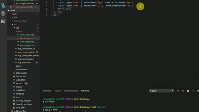 Dynamic Validation Angular смотреть онлайн