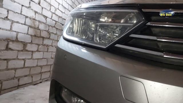 Как избежать ДТП с животными? смотреть онлайн