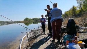 Рыбалка на Дону. #рекаДон#рыбалканаДону#Песковатка#карась#