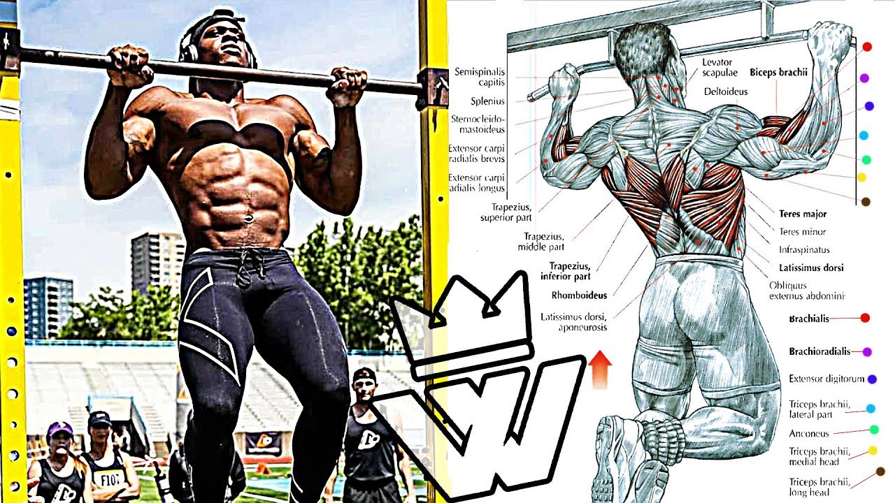 Тренировка с подтягиваниями | Силовая тренировка с отягощением смотреть онлайн