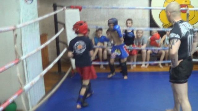 Рубка сына в ринге! Карапузы муай тай 2014!